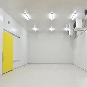 Keep Food Fresh Insulation PU Cold Storage